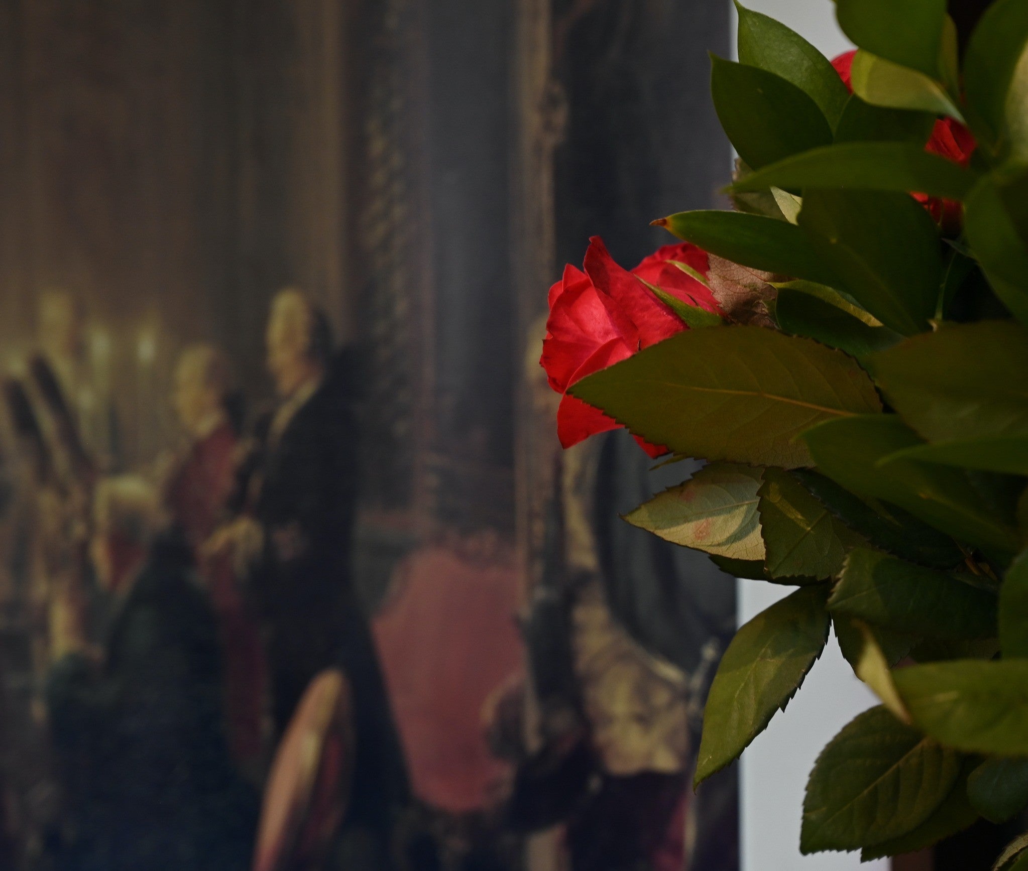 Red rose in front of a blurred painting of a formal event