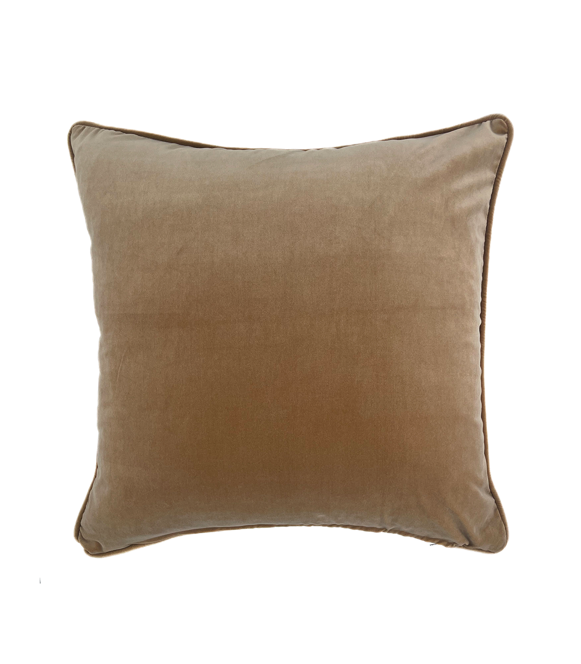 Royal Pavilion Scatter Cushion